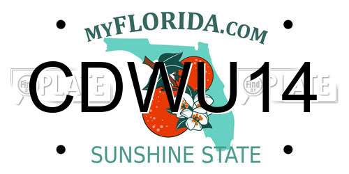 CDWU14 Florida License Plate
