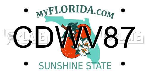 CDWV87 Florida License Plate