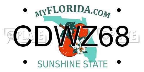 CDWZ68 Florida License Plate