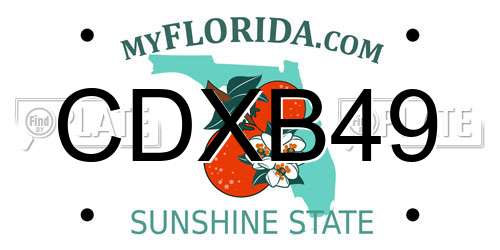 CDXB49 Florida License Plate