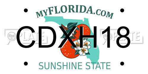 CDXH18 Florida License Plate