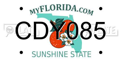 CDY085 Florida License Plate