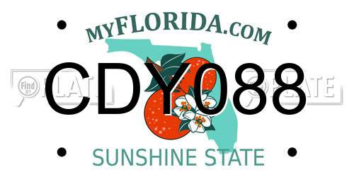 CDY088 Florida License Plate