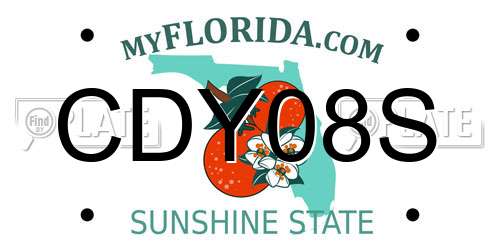 CDY08S Florida License Plate