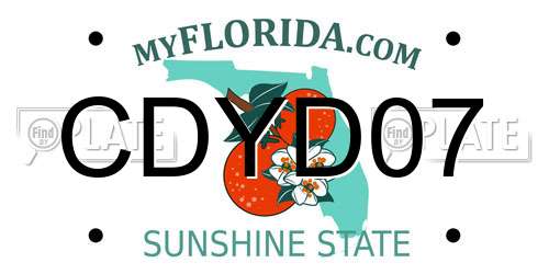 CDYD07 Florida License Plate