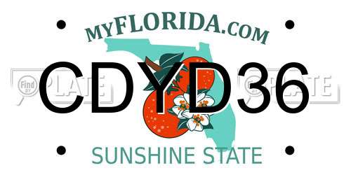 CDYD36 Florida License Plate
