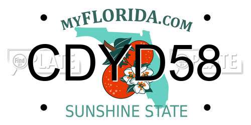 CDYD58 Florida License Plate