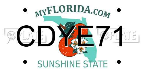 CDYE71 Florida License Plate