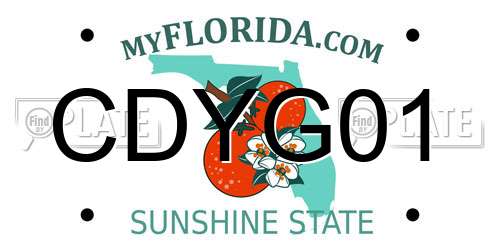 CDYG01 Florida License Plate