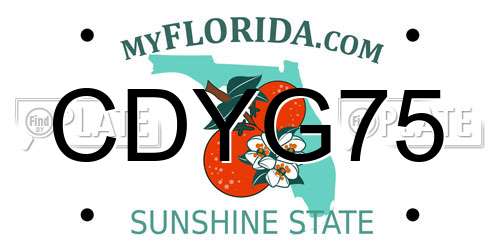CDYG75 Florida License Plate