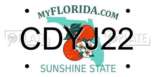 CDYJ22 Florida License Plate