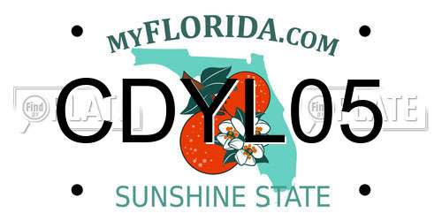 CDYL05 Florida License Plate