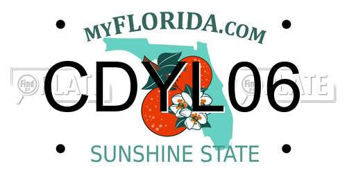 CDYL06 Florida License Plate