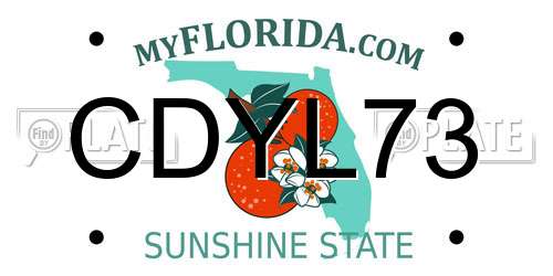CDYL73 Florida License Plate