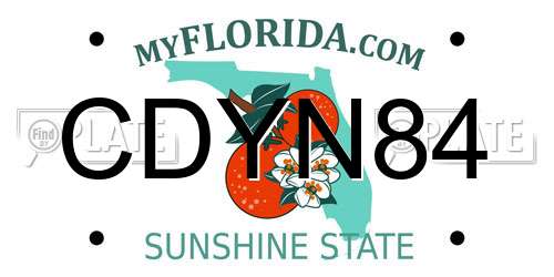 CDYN84 Florida License Plate