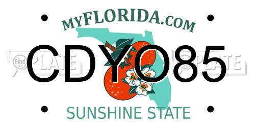 CDYO85 Florida License Plate