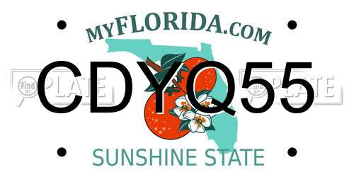 CDYQ55 Florida License Plate