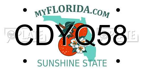 CDYQ58 Florida License Plate