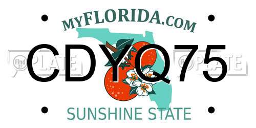 CDYQ75 Florida License Plate