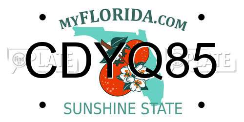 CDYQ85 Florida License Plate