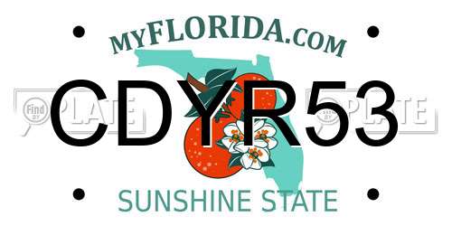 CDYR53 Florida License Plate