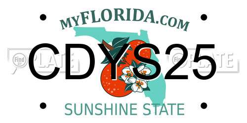 CDYS25 Florida License Plate