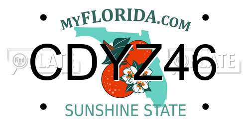 CDYZ46 Florida License Plate