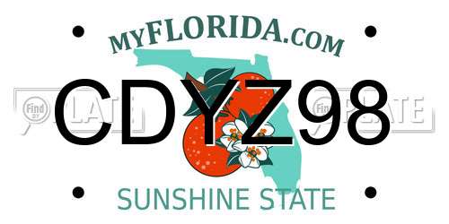 CDYZ98 Florida License Plate