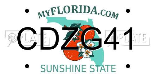 CDZG41 Florida License Plate
