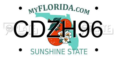 CDZH96 Florida License Plate