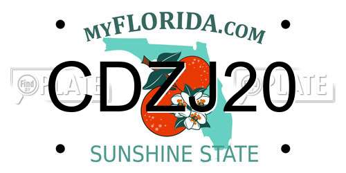 CDZJ20 Florida License Plate
