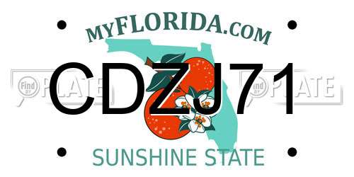 CDZJ71 Florida License Plate
