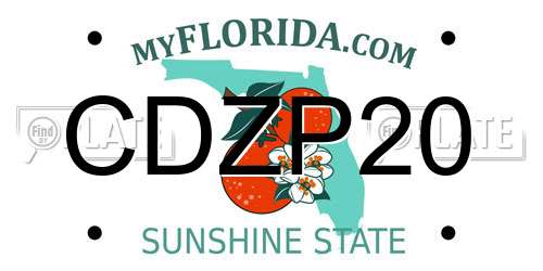CDZP20 Florida License Plate