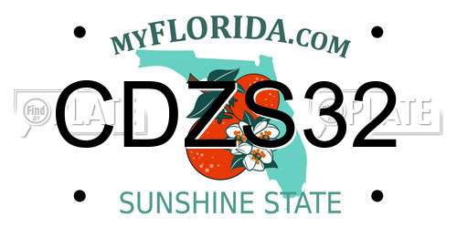CDZS32 Florida License Plate