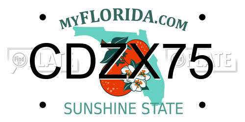 CDZX75 Florida License Plate
