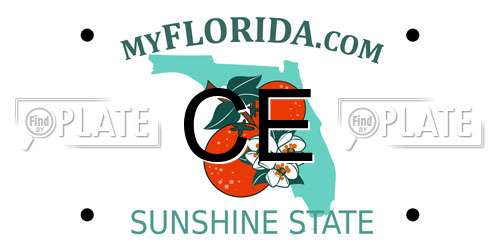 CE Florida License Plate