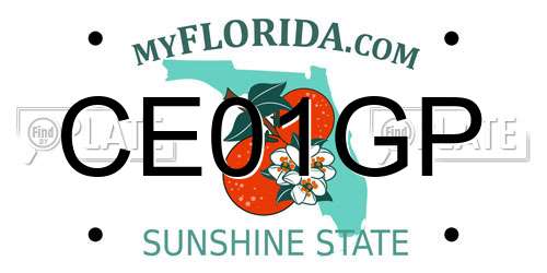 CE01GP Florida License Plate