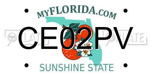 CE02PV Florida License Plate
