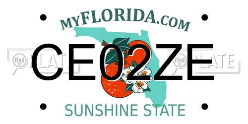 CE02ZE Florida License Plate