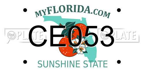 CE053 Florida License Plate