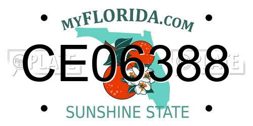 CE06388 Florida License Plate