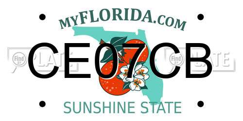 CE07CB Florida License Plate