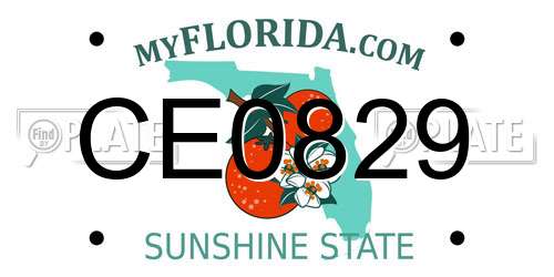 CE0829 Florida License Plate