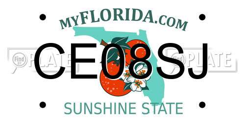 CE08SJ Florida License Plate