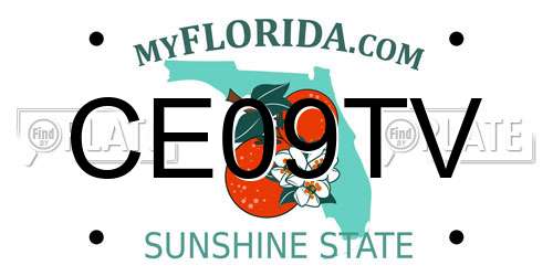 CE09TV Florida License Plate