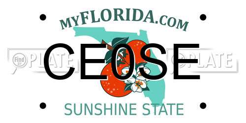 CE0SE Florida License Plate