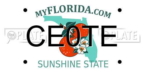 CE0TE Florida License Plate