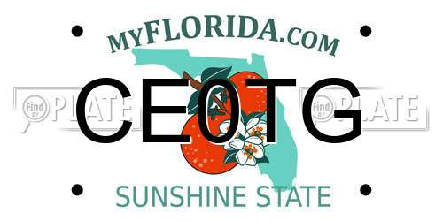CE0TG Florida License Plate