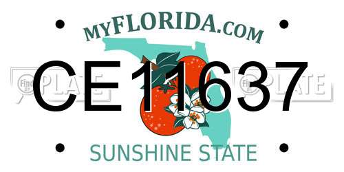 CE11637 Florida License Plate