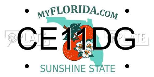 CE11DG Florida License Plate